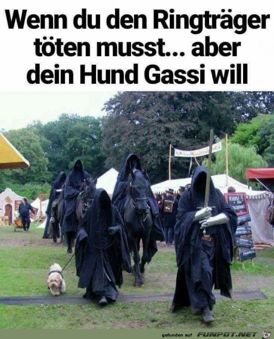 dein Hund will Gassi gehen.....