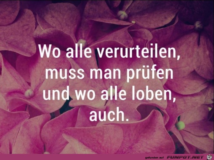 Wo alle verurteilen Wo alle verurteilen