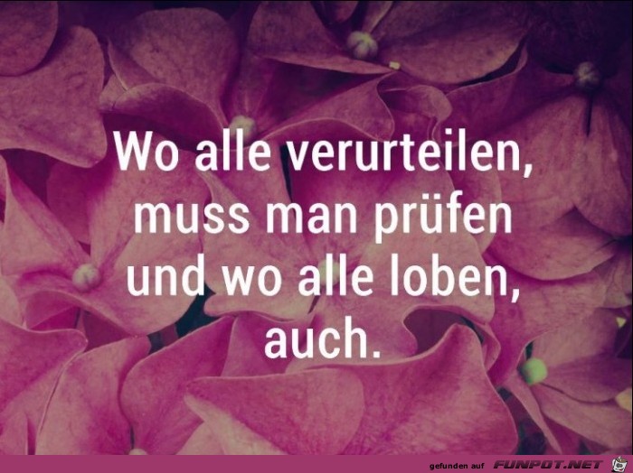 Wo alle verurteilen