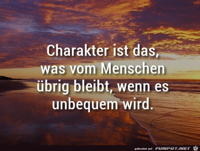 Charakter Charakter