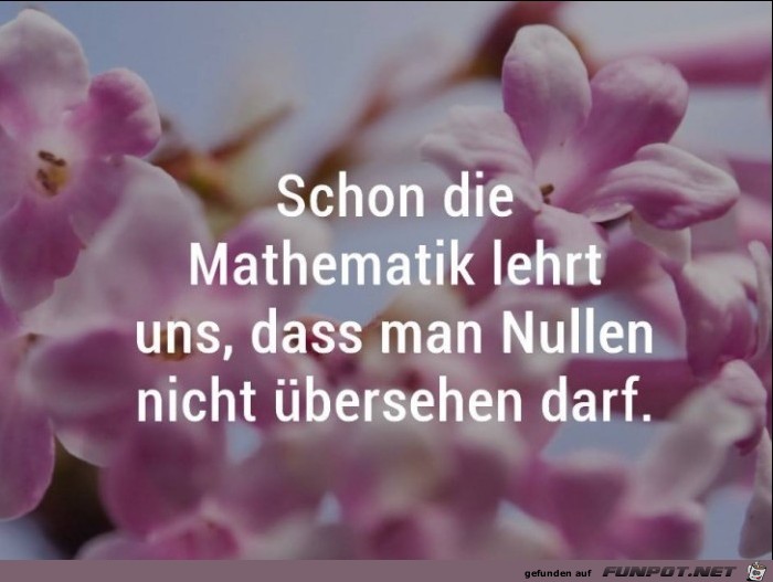 Schon die Mathematik Schon die Mathematik