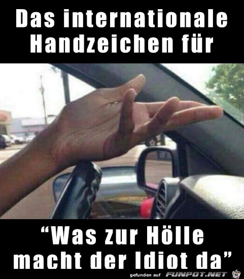 Internationales Handzeichen Internationales Handzeichen