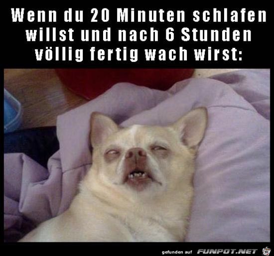 Wenn du kurz schlafen willst Wenn du kurz schlafen willst