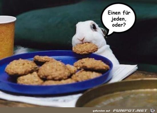 Fr jeden einen