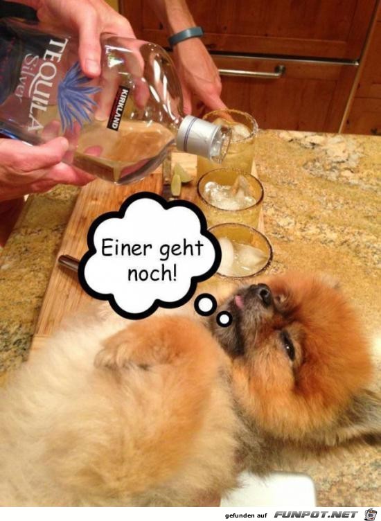 Einer geht noch Einer geht noch