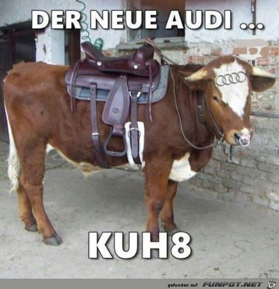 Audi Kuh8 Audi Kuh8