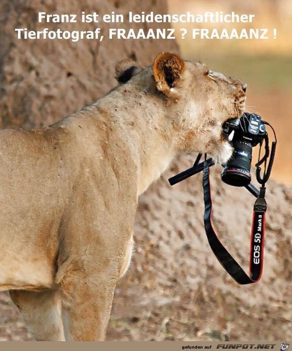 Wo ist der Tierfotograf Wo ist der Tierfotograf