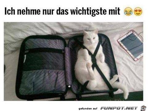 Ich nehme nur das wichtigste mit Ich nehme nur das wichtigste mit