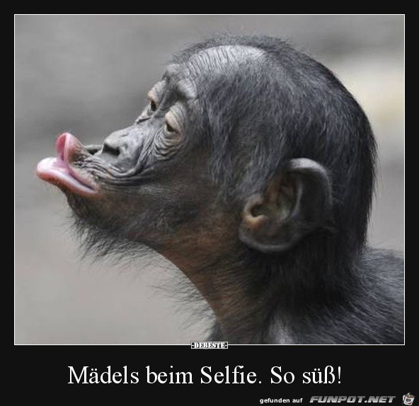 Mädels beim Selfie Mädels beim Selfie