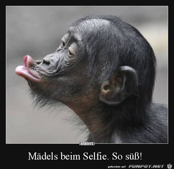 Mdels beim Selfie