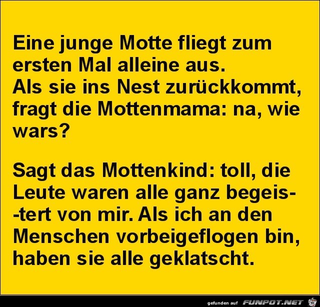 eine junge Motte flegt zum..........