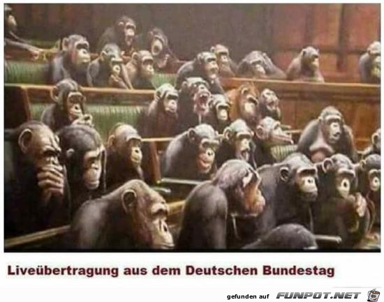 Live-Übertragung Live-Übertragung