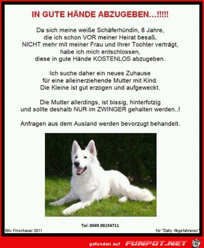 Mein Hund