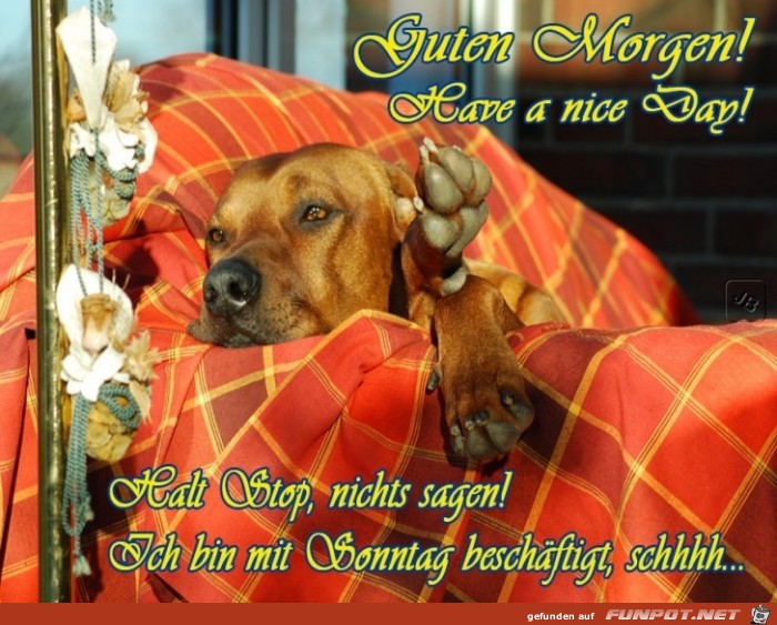 Sonntag Sonntag