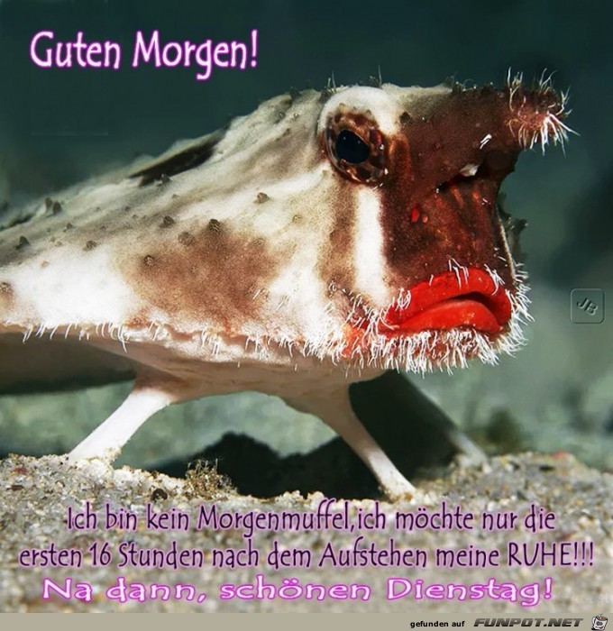 Dienstag Dienstag