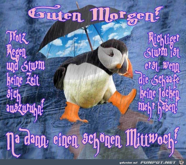 Mittwoch Mittwoch