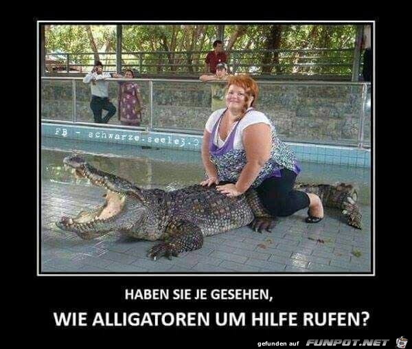Hilferuf Hilferuf