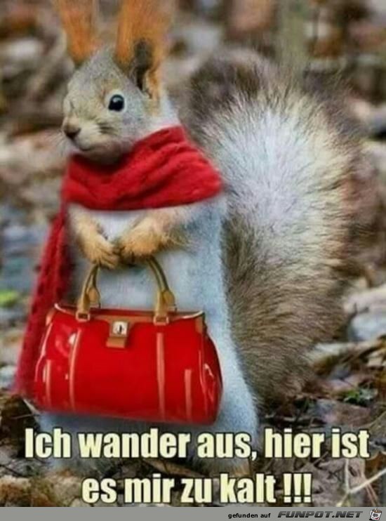 Ich wander aus