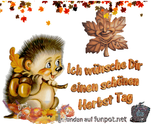 Schoenen Herbsttag