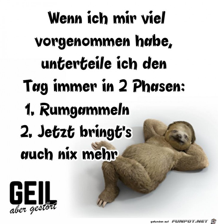 Viel vorgenommen Viel vorgenommen