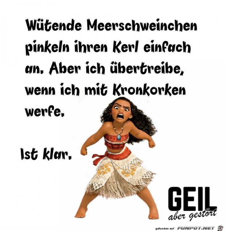 Wuetende Meerschweinchen Wuetende Meerschweinchen