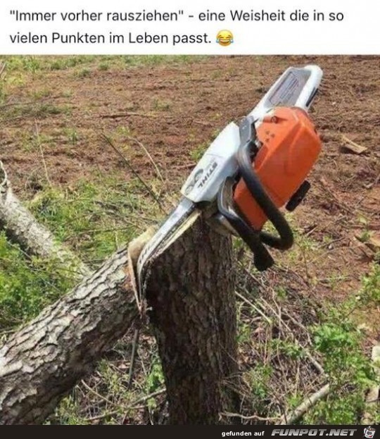 immer vorher rausziehen...... immer vorher rausziehen......