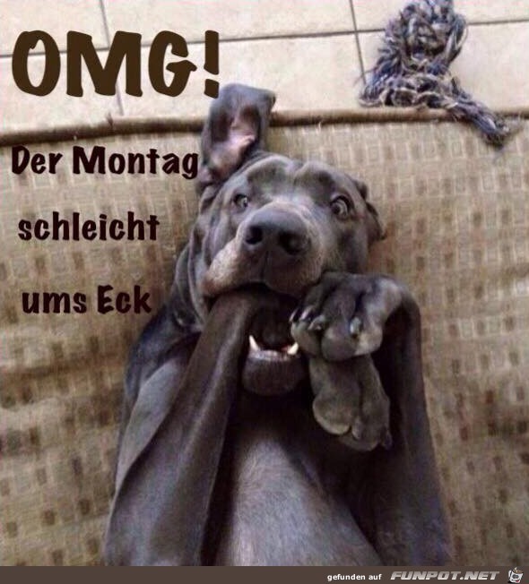 Montag Montag