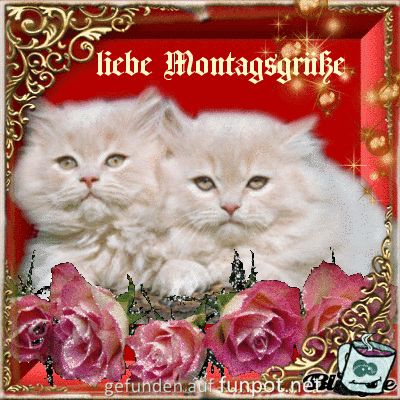 Liebe Montagsgruesse Liebe Montagsgruesse