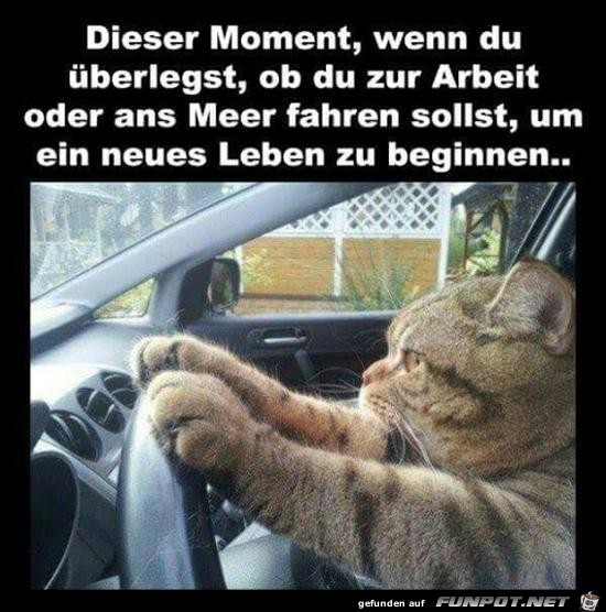 Dieser Moment