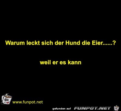 Frage Frage