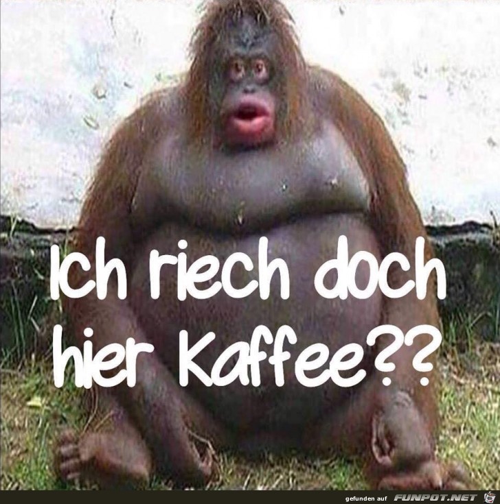 Kaffee Kaffee