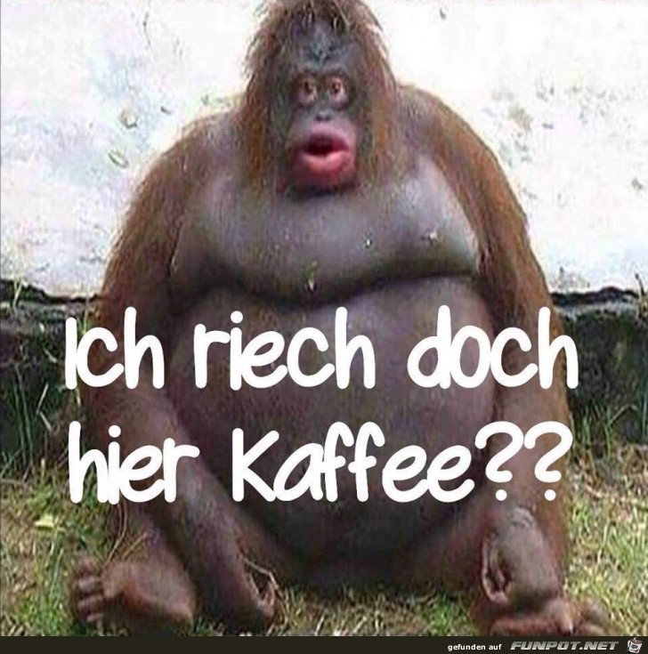 Kaffee