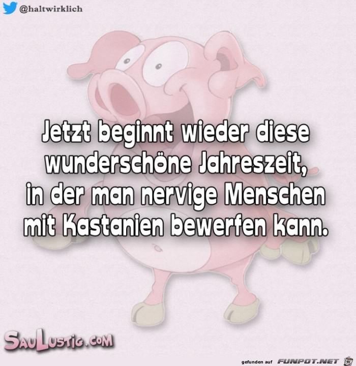 Jetzt-beginnt-wieder-diese-Jahrenzeit Jetzt-beginnt-wieder-diese-Jahrenzeit