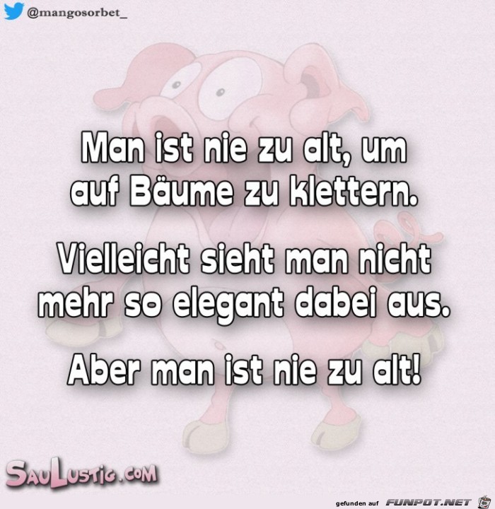 Man-ist-nie-zu-alt-um-auf-Baeume-zu-klettern Man-ist-nie-zu-alt-um-auf-Baeume-zu-klettern