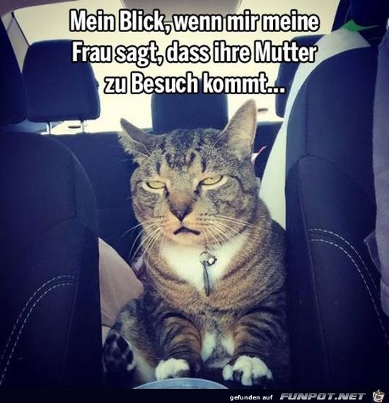 Mein Blick