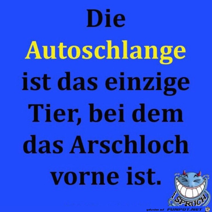 Die Autoschlange