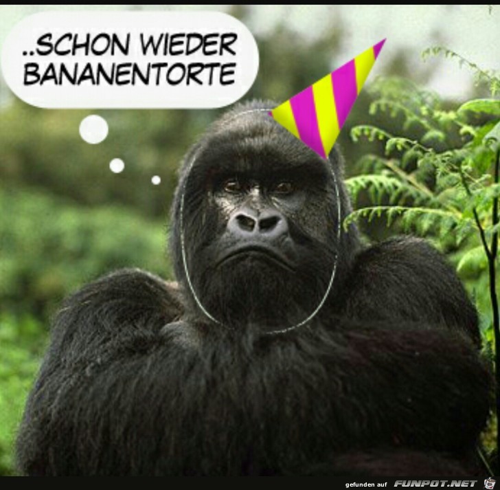 Schon wieder Schon wieder