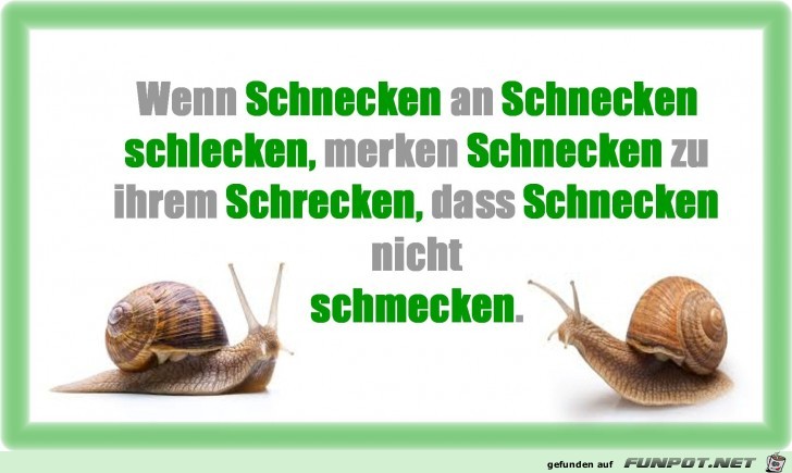 Wenn Schnecken.....