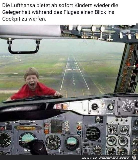 Blick ins Cockpit