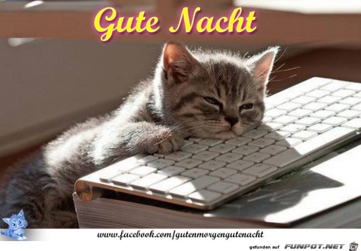 Gute Nacht