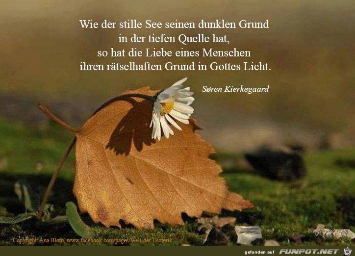Wie der stille See Wie der stille See