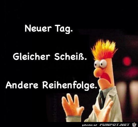 Gleicher Scheiß Gleicher Scheiß