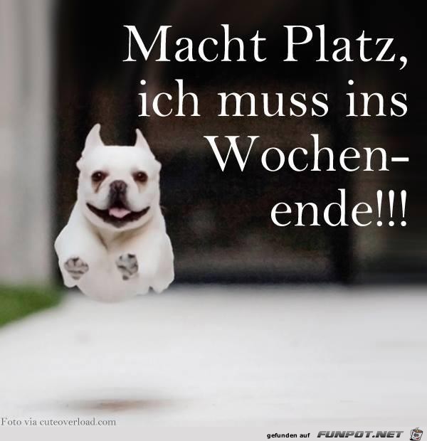 Platz da Platz da