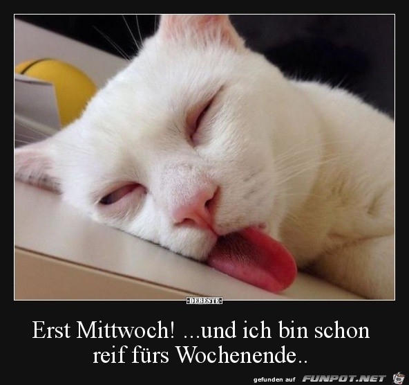 Reif fürs Wochenende Reif fürs Wochenende