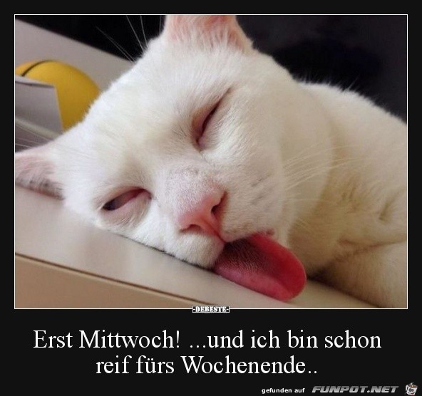 Reif frs Wochenende