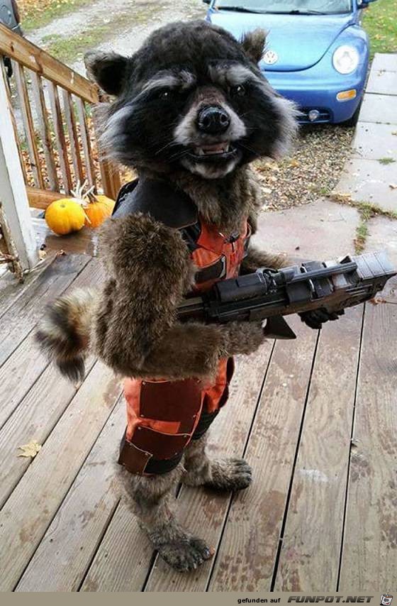guardian-of-the-galaxy guardian-of-the-galaxy