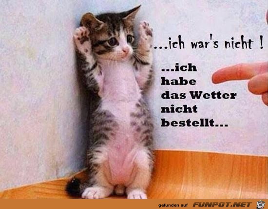 ich war´s nicht....... ich war´s nicht.......