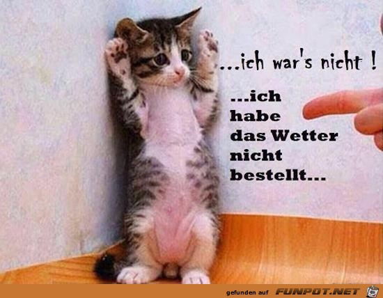 ich wars nicht.......