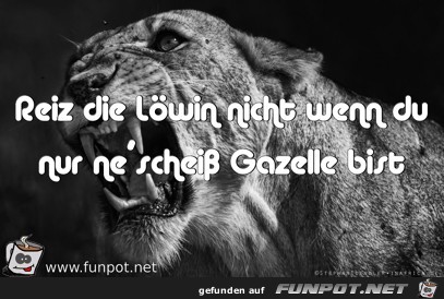 Löwin Löwin