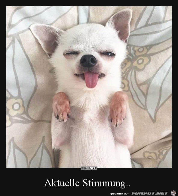 Stimmung Stimmung